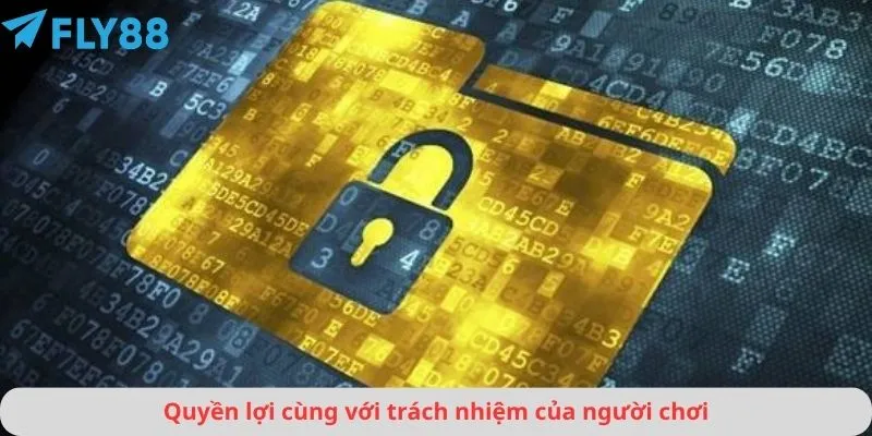 Quyền Riêng Tư 2 Quyền lợi cùng với trách nhiệm đối với người chơi